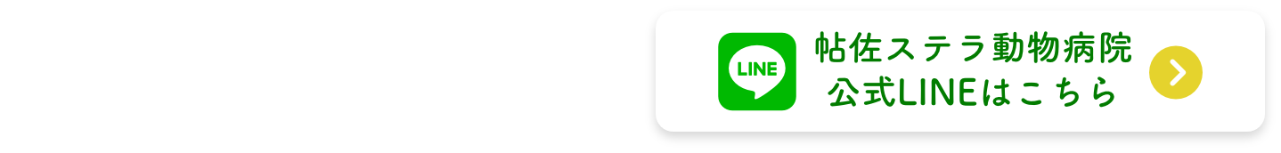 休診日・診療時間の変更など最新情報は公式LINEでチェック　帖佐ステラ動物病院公式LINEはこちら