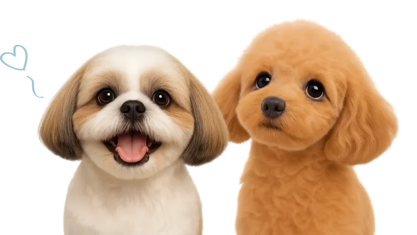 帖佐ステラ動物病院のトリミング