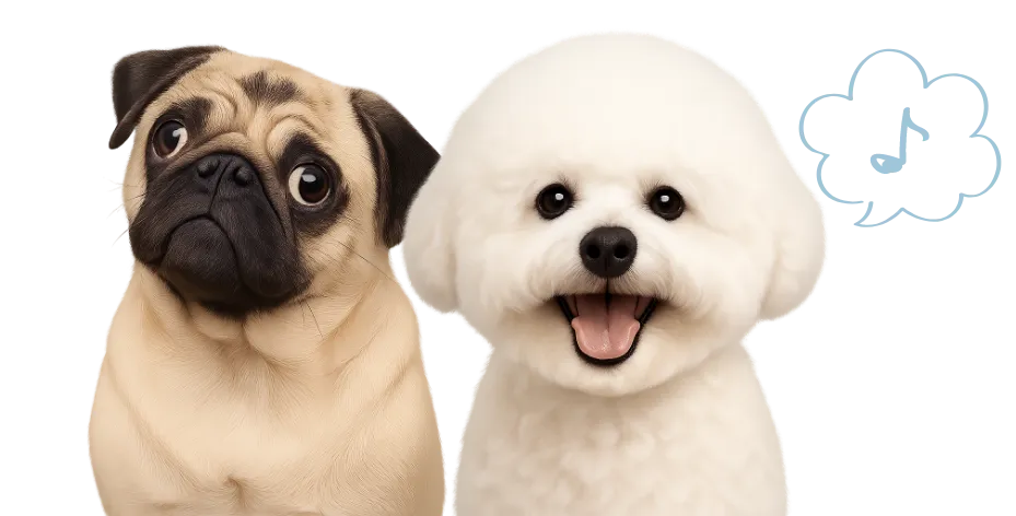 帖佐ステラ動物病院のトリミングはLINE、お電話で承っております。下記よりご予約ください。